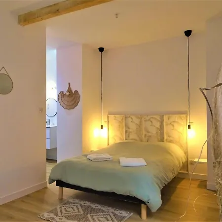 Sublime Cocon Pour 2 Aux Portes De La Place Nationale - Proximite Immediate Toutes Commodites Et Sites D'interets * Montauban