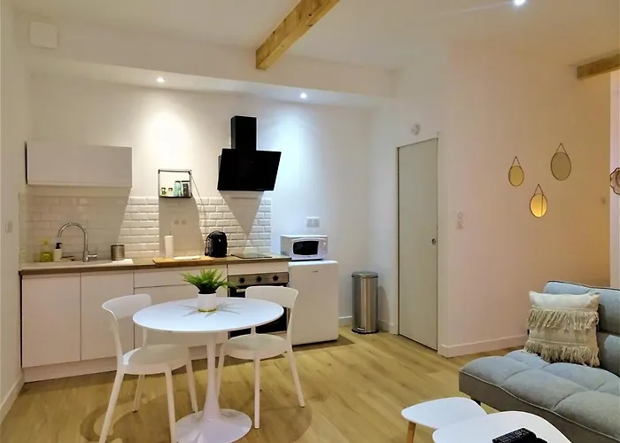 Sublime Cocon Pour 2 Aux Portes De La Place Nationale - Proximite Immediate Toutes Commodites Et Sites D'interets * Montauban